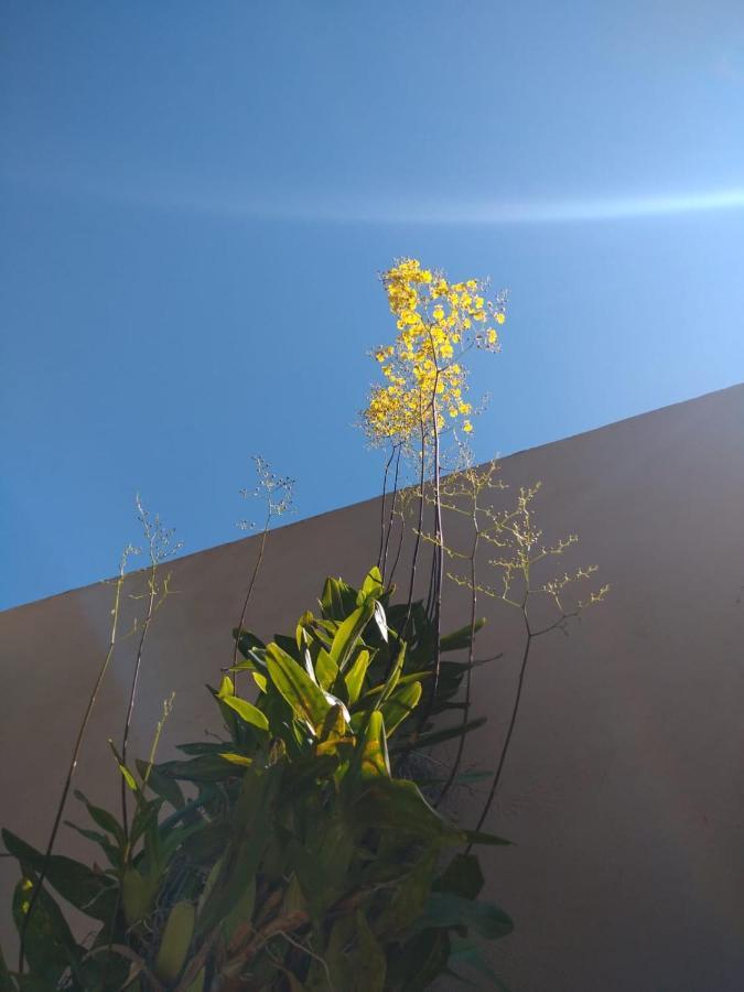 Nossa Casinha Atibaia - Linda Vista Pra Pedra Grande Villa Екстериор снимка